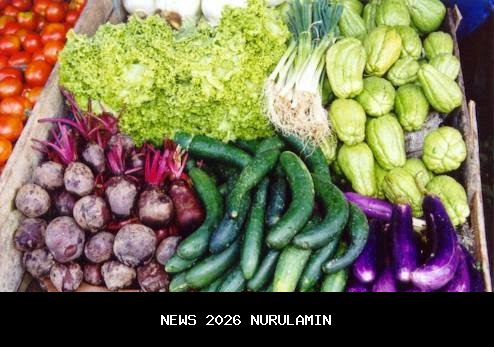 Sayuran Beku atau Segar? Mana yang Lebih Sehat untuk Konsumsi Harian Praktis dan Bergizi