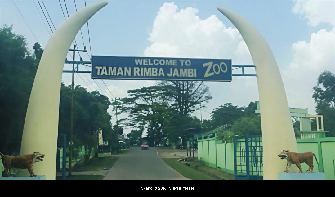 Ayo Berwisata ke Taman Rimba, Lihat Harimau Benggala dan Singa Afrika!