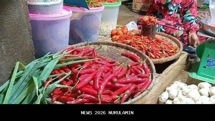 Libur Akhir Tahun, Harga Cabai Mamuju Tengah Melonjak