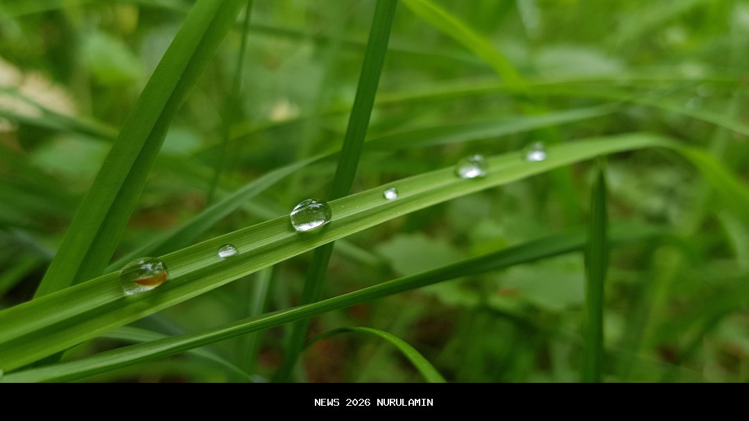 Embun Lawu Tawangmangu: Destinasi Liburan Nataru 2025/2026 dengan Pemandangan Gunung Lawu dan Spot Foto Kekinian