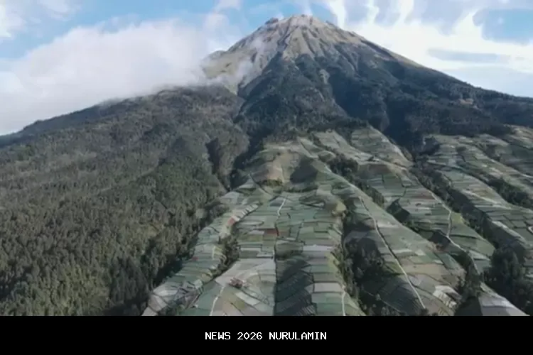 Liburan di Negeri Sayur kaki Gunung Sumbing, terasering Sitegong Nampan bikin menyenangkan