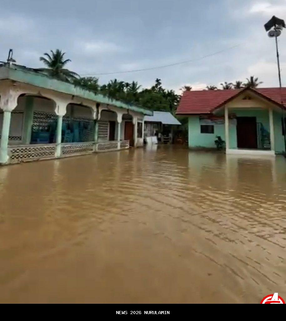 Spesifikasi Jembatan Bailey di Panton Nisam Aceh Utara Pasca Banjir
