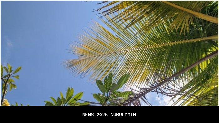 Prakiraan cuaca Maluku Minggu 4 Januari 2026: Tiga wilayah cerah berawan, lainnya diguyur hujan