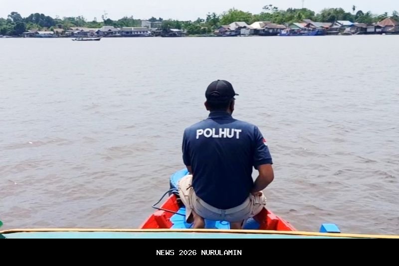 Sempat hebohkan penonton, buaya muncul di Sungai Mentaya saat lomba dayung Habaring Hurung 2026