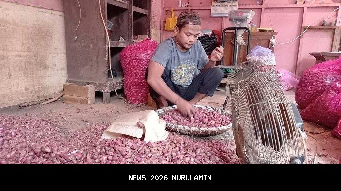 Stok Cabai dan Bawang Merah Melimpah, Harga Tetap Stabil Jelang Nataru