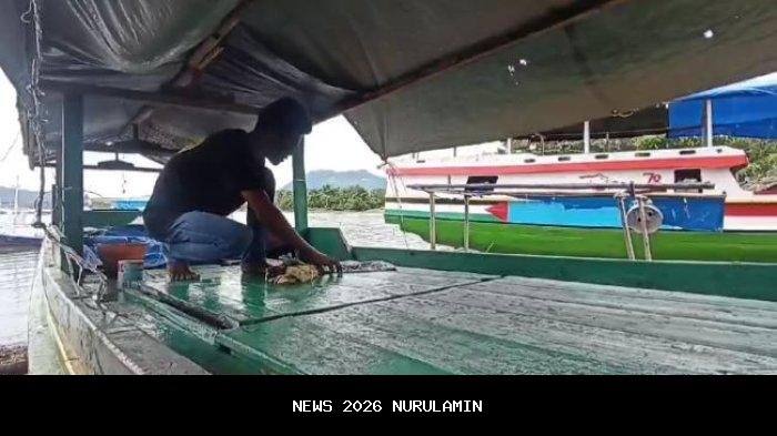 Cuaca ekstrem, Kades Kojadoi Sikka imbau nelayan agar tidak melaut