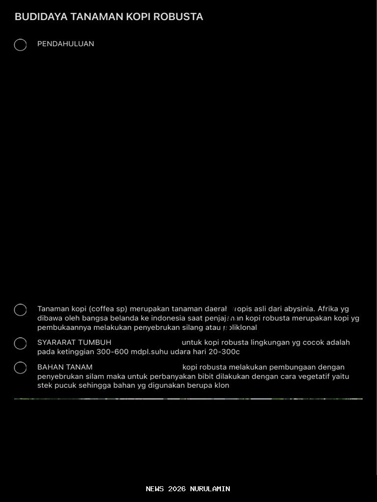 Teknik Perawatan Kopi Robusta yang Efektif di Iklim Tropis Indonesia