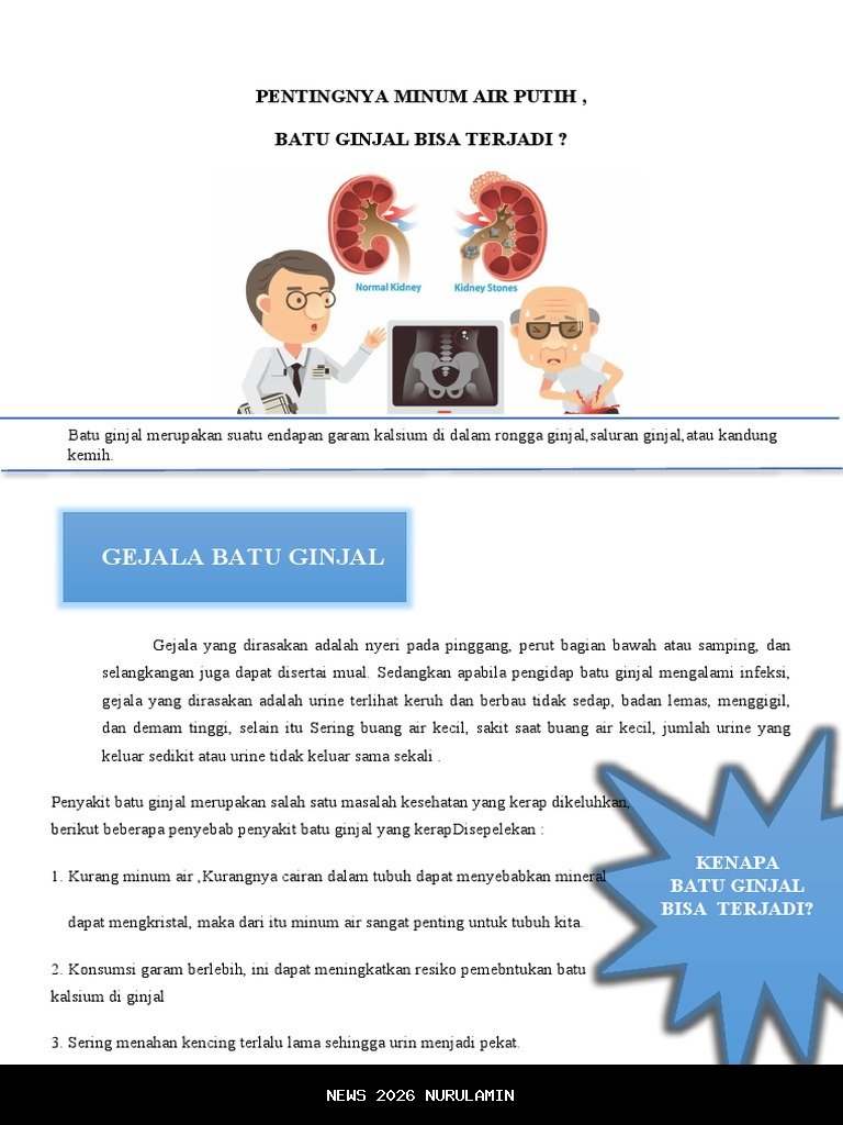 Apakah Remaja Bisa Terkena Batu Ginjal? Ini Penjelasannya, Dr. Mega Anara Manurung