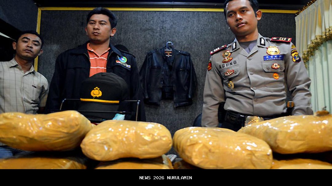 KSKP Bakauheni Temukan 3 Paket Ganja di Truk Ekspedisi Bengkulu