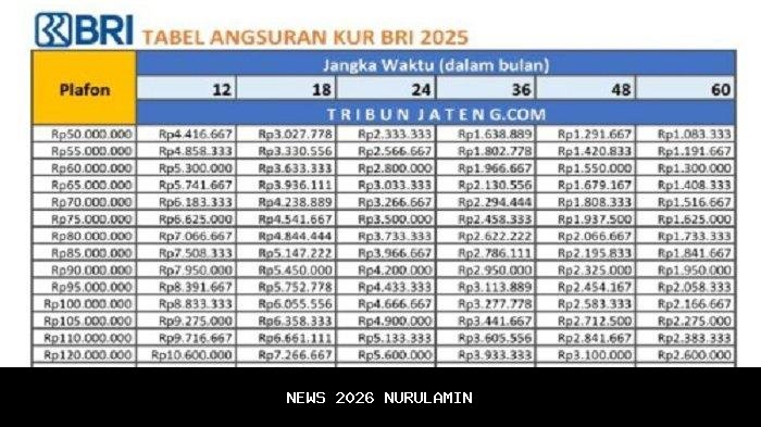 Estimasi BNPB: Setiap KK di Aceh-Sumatera Dapat Rp 60 Juta untuk Pemulihan Bencana