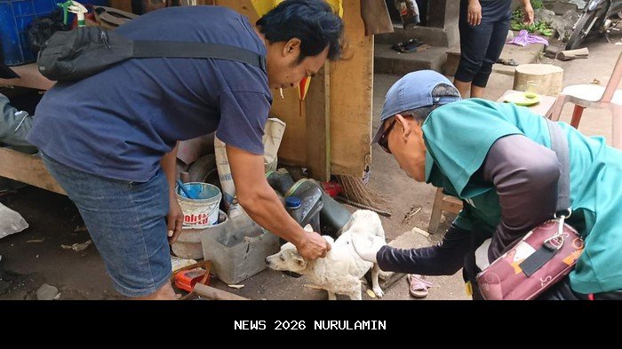 Segera Tangani Gigitan Anjing, 3 Warga Jembrana Tewas Diduga Rabies, Vaksinasi Digencarkan