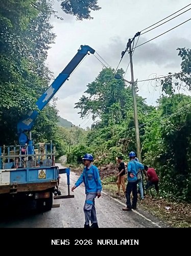 PLN Perbaiki Jalur Listrik Langsa-Pangkalan Brandan untuk Pemulihan Kelistrikan Aceh