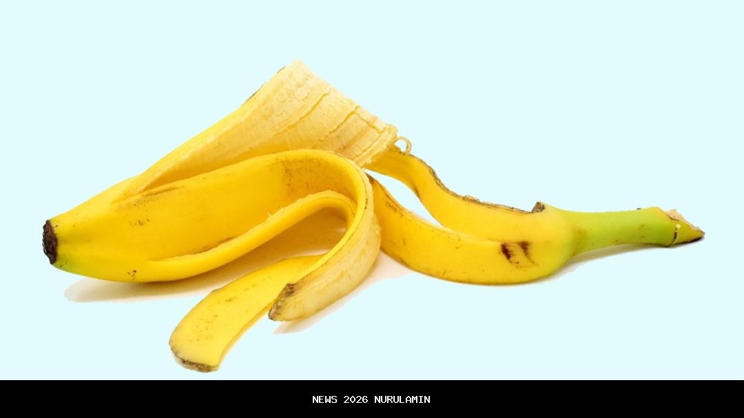 Contoh Khutbah Jumat: Makna Umur Panjang