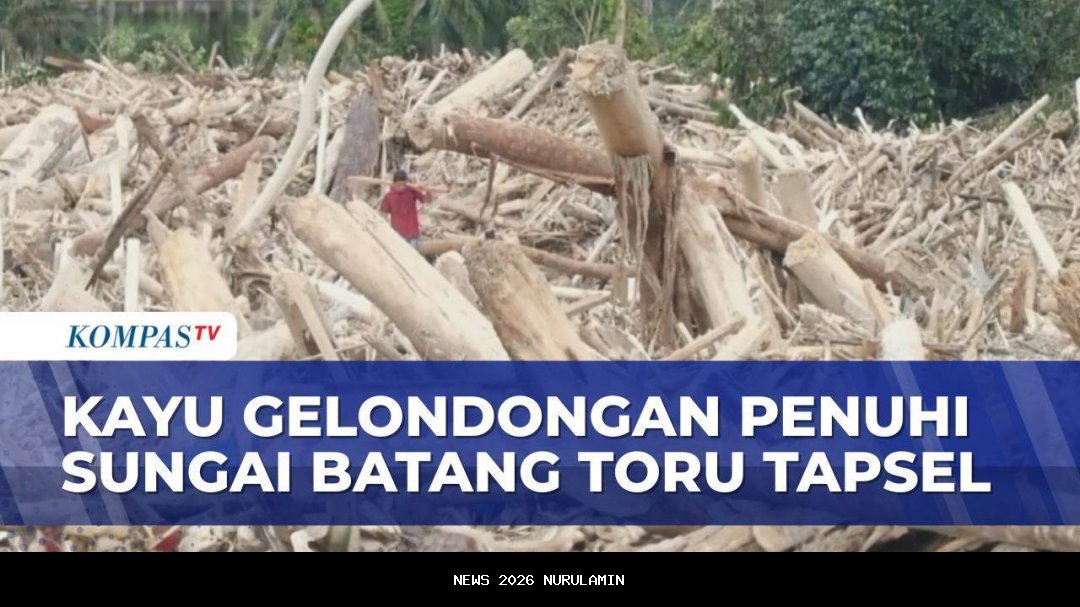 Jutaan kubik kayu gelondongan tutupi Sungai Batang Toru pascabencana, ini dampaknya kata warga