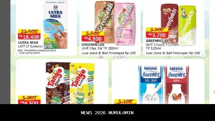Promo Akhir Tahun: Diskon Besar Frozen hingga Susu di Indomaret, Alfamart, Superindo
