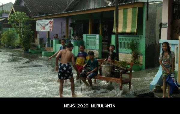 Heboh! Tanggul Kali Bego Patah, Banjir Hancurkan Rumah Warga Kapuran Tanggamus