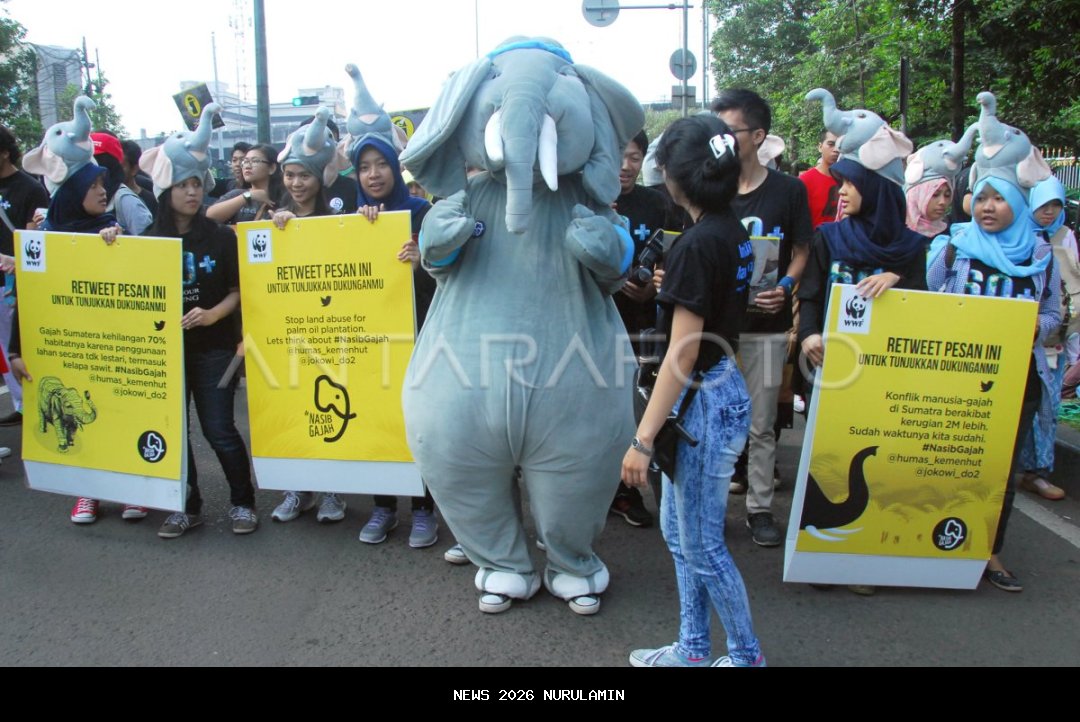 Restorasi Hutan Bukit Tigapuluh untuk Selamatkan Gajah Sumatera