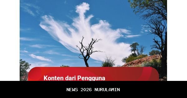 Perbedaan Glamping dan Camping, Ini Jawabannya!