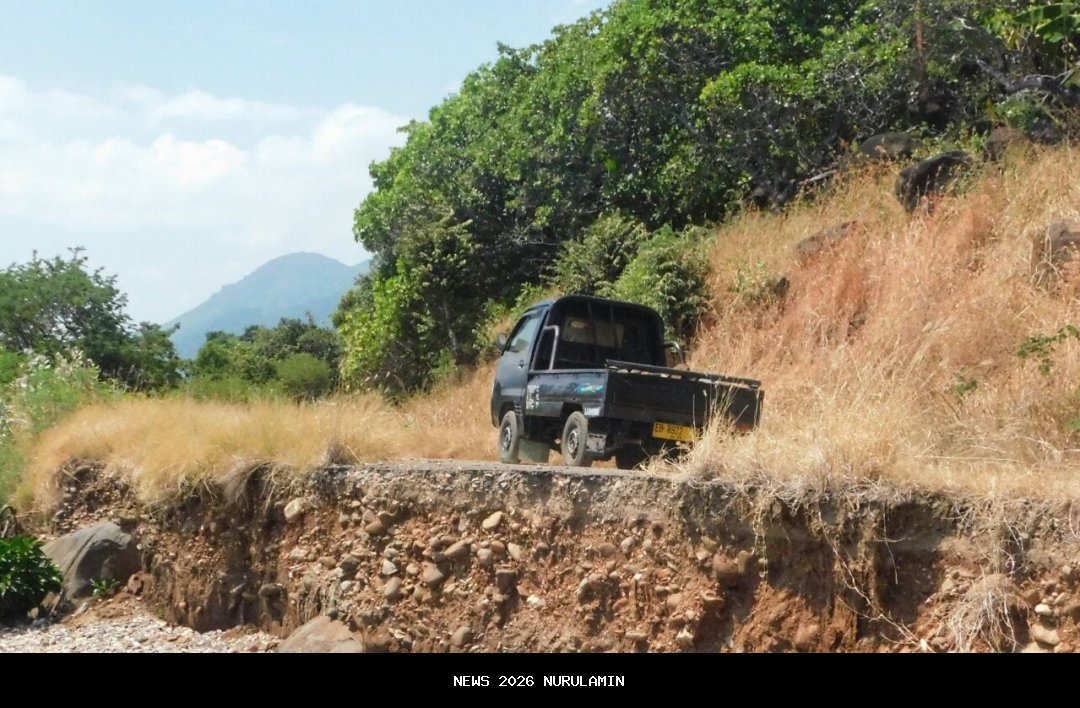 Badan Jalan Ambruk, Transportasi di Pantura Flores Terancam Putus Total