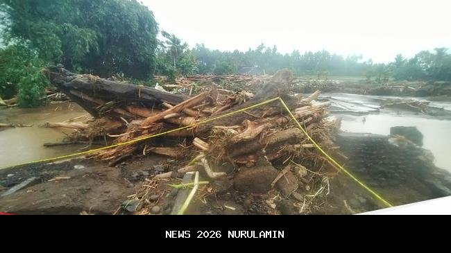 Pembaruan Normalisasi Pasca Banjir, 7 Persen Hutan Bali Masih Gundul