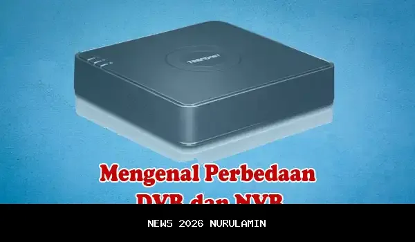 Jangan Salah Pilih: Perbedaan Mobil Manual dan Automatic Saat Digunakan Harian