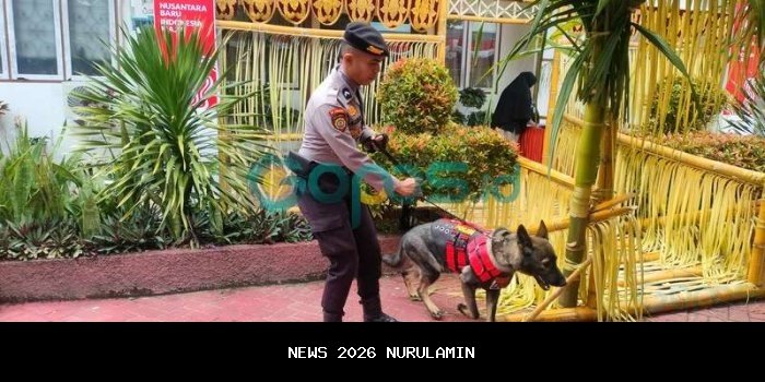 Mengenal Doben, Anjing Pelacak Spesialis Bahan Peledak yang Manja dan Pernah Kawal G20 hingga Mandalika