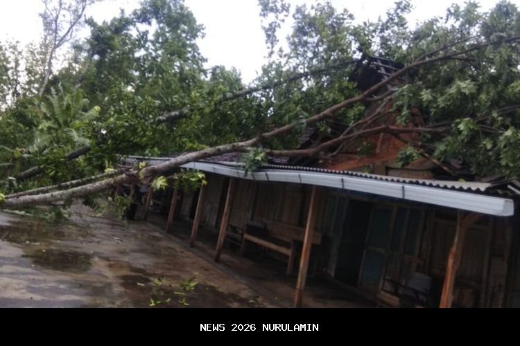 51 rumah rusak akibat hujan deras dan angin kencang di Tulungagung, ini pernyataan BPBD