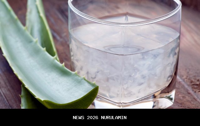 Inovasi Kecombrang: Minuman Segar Kaya Nutrisi