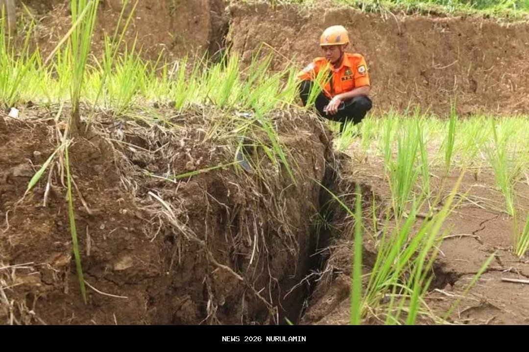 Retakan Tanah Puluhan Meter Muncul di Jombang, BPBD Lakukan Pemeriksaan