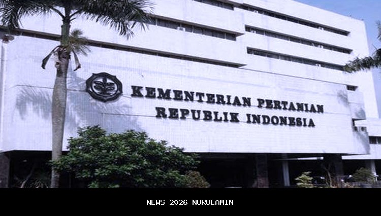 Kementan tingkatkan HDDAP untuk tingkatkan produksi dan ekspor hortikultura