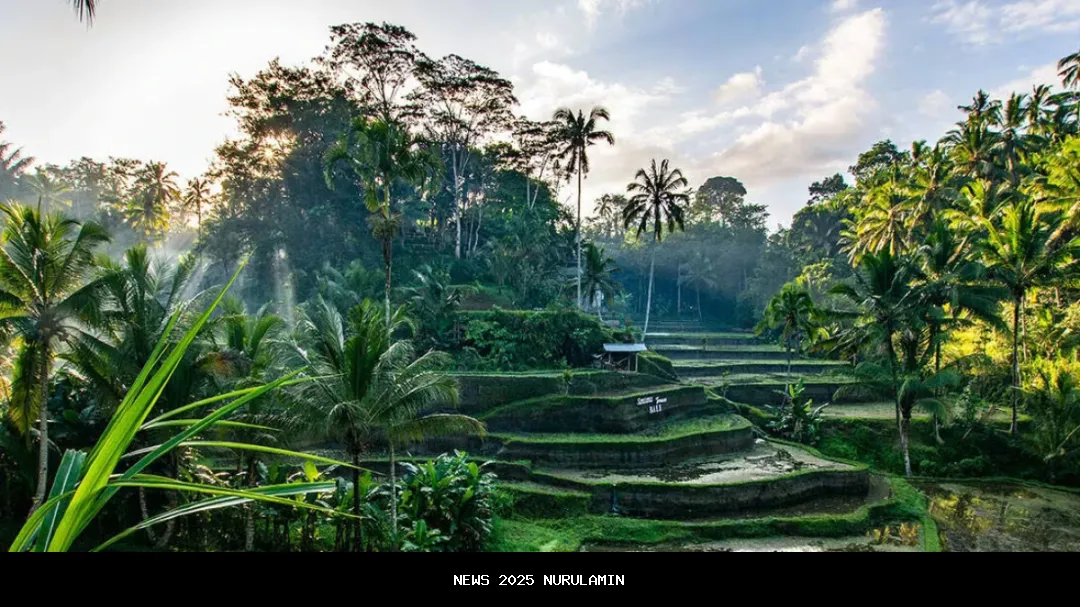 Murah! 4 Daerah Banten untuk Hidup Hemat dan Pensiun Nyaman