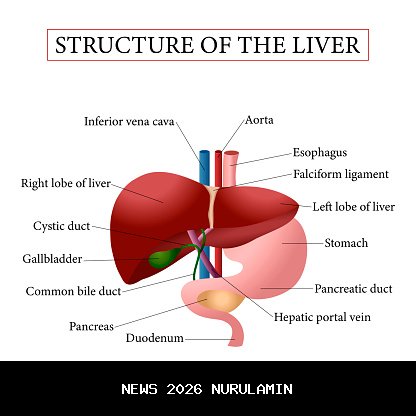 Hati-hati! Ini Hukum dan Cara Bayar Zakat Fitrah Tahun Lalu