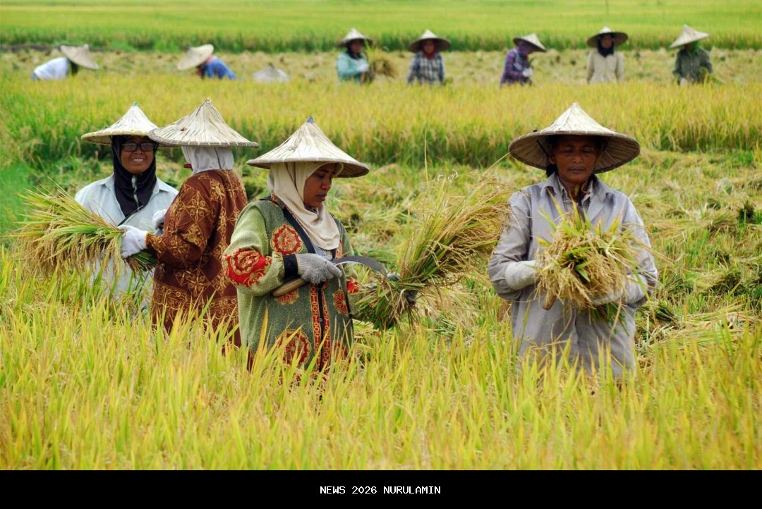 Petani Madiun Dihukum Karena Melindungi Landak yang Merusak Tanaman