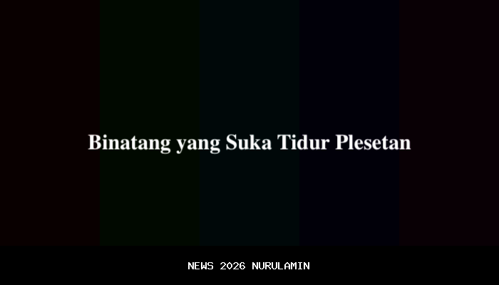 Tanya Ustaz: Hukum Sholat yang Ditinggalkan Karena Tidur? Ini Jawabannya