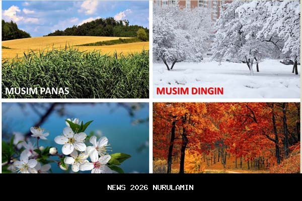 Musim Hujan, Puskesmas Madapangga Ajak Warga Jaga Kesehatan dan Bersihkan Lingkungan