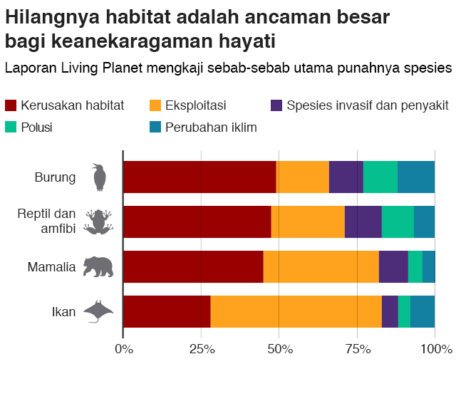 Operasi 2025: 30 Ribu Barang Ilegal Dibabat di Pasar Nasional