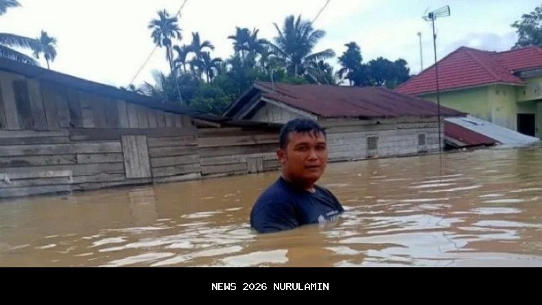 Di tengah kacau, aksi warga Aceh Tamiang beri makan kucing jadi sorotan netizen