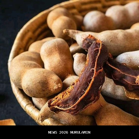 Ternyata Air Asam Jawa Bermanfaat untuk Kesehatan dan Kecantikan