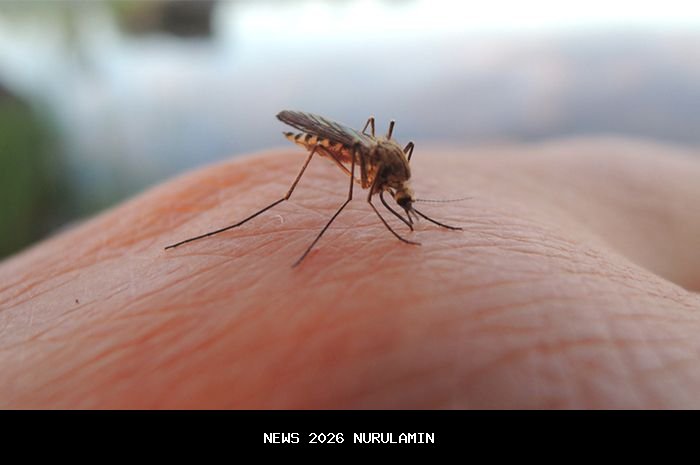 Terapi Uap dan Kumur Air Garam: Solusi Ampuh Hidung Meler Tanpa Efek Samping