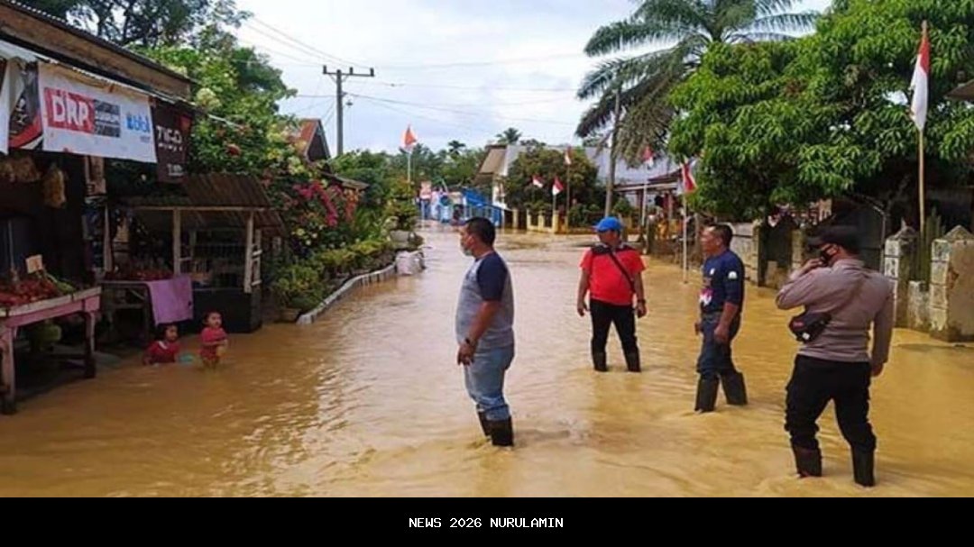 Sebelum Banjir, Harimau Bawa Jas Hujan Turun ke Aceh Timur