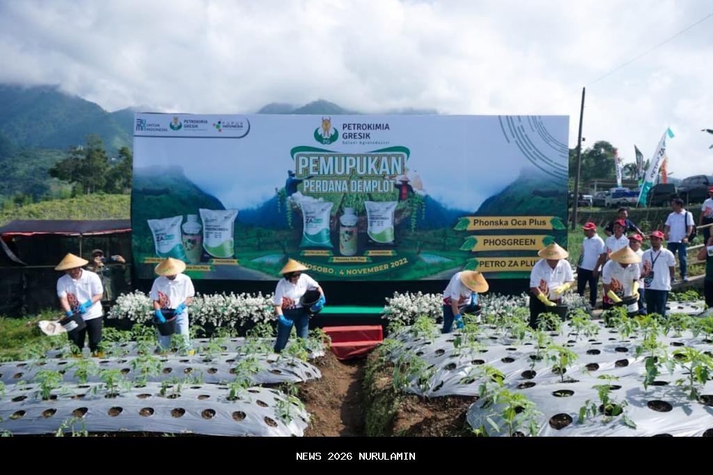 Stok Pupuk Bersubsidi Petrokimia Gresik Melimpah, Petani Tenang Libur Tahun Baru 2026