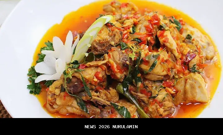 Resep masakan dangkot ayam, hidangan sempurna untuk makan malam lezat