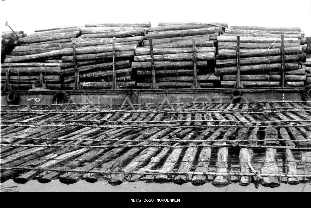 Polisi Tingkatkan Kasus Kayu Gelondongan di DAS Sumut ke Penyidikan, Selidiki Pelaku Alih Fungsi Lahan