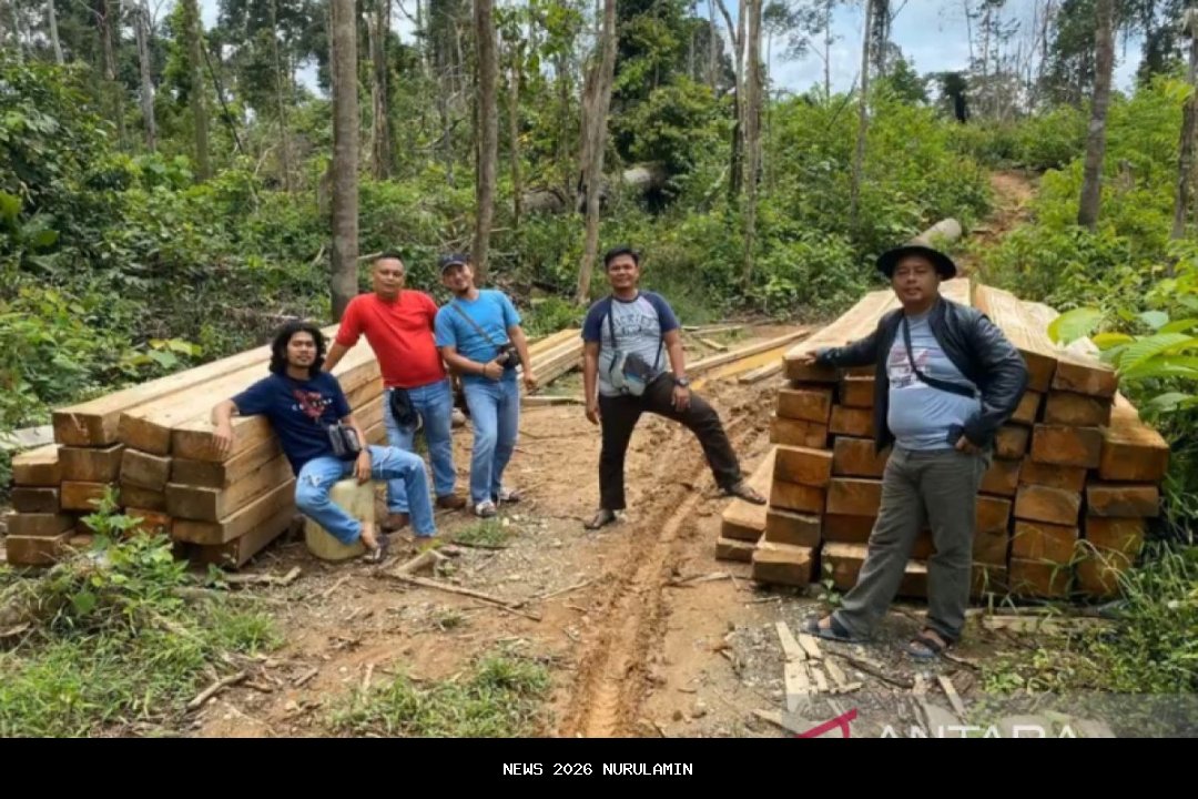Tersangka Pembalakan Liar di Tapsel Ditemukan, Kapolri: Naikkan ke Penyidikan