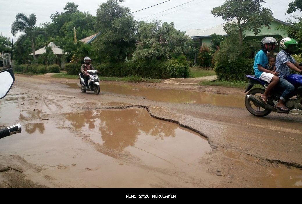 Wistawan Inggris Tampil Bebas di Jalanan Labuan Bajo, Diciduk Polisi