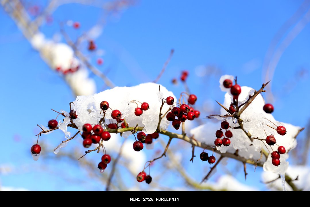 Januari - November 2025, Kejari Buol Selidiki Kasus Korupsi dan Penyalahgunaan Dana Desa