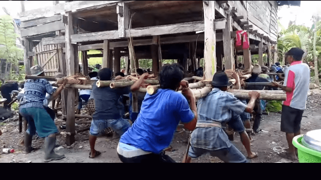 Mengenal tradisi mapalette bola, gotong royong angkat rumah di Sulawesi