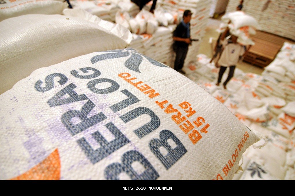 Stok Beras Banyumas Capai 60 Ribu Ton, Bulog Jamin Ketersediaan hingga Tahun Baru